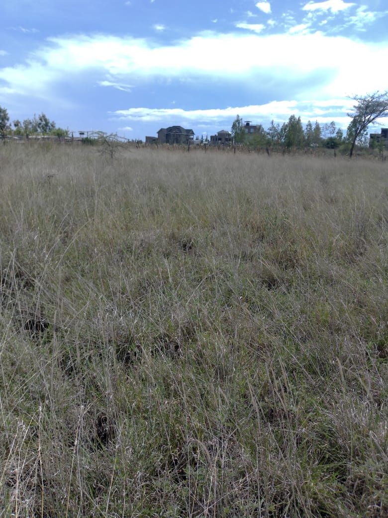 Affordable Plot in Katani - Scenic view with road access